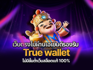 true wallet, เว็บตรง, สล็อตเว็บตรง, เว็บสล็อตแท้
