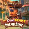 The Dog House – Dog or Alive