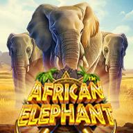 African Elephant