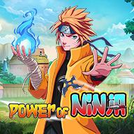 Power of Ninja