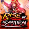 Rise of Samurai