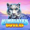 Himalayan Wild