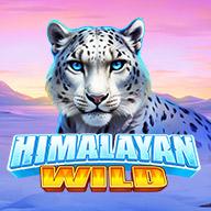 Himalayan Wild