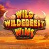 Wild Wildebeest Wins